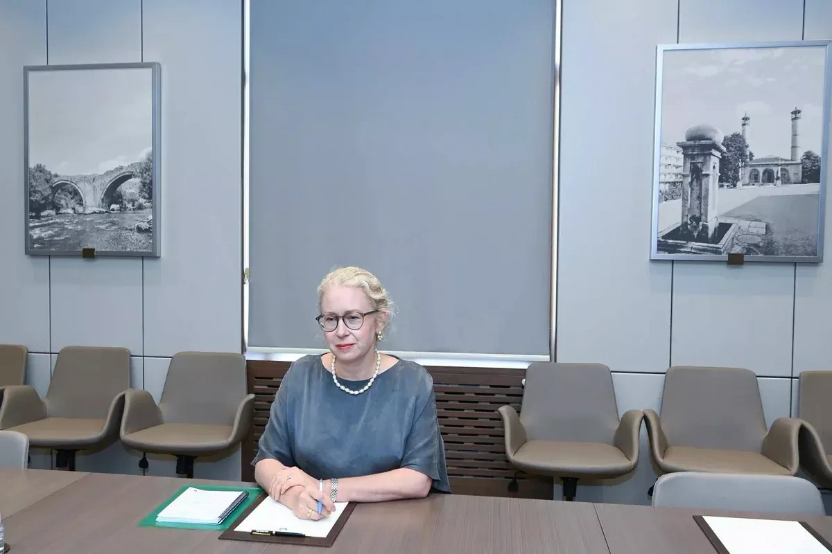 Sweden seeks to strengthen ties with Azerbaijan, envoy says VIDEO