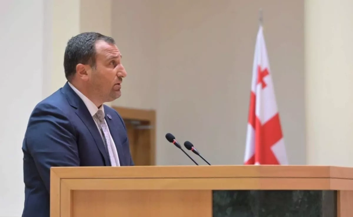 Nine parties against Georgian Dream A new alliance with an old agenda