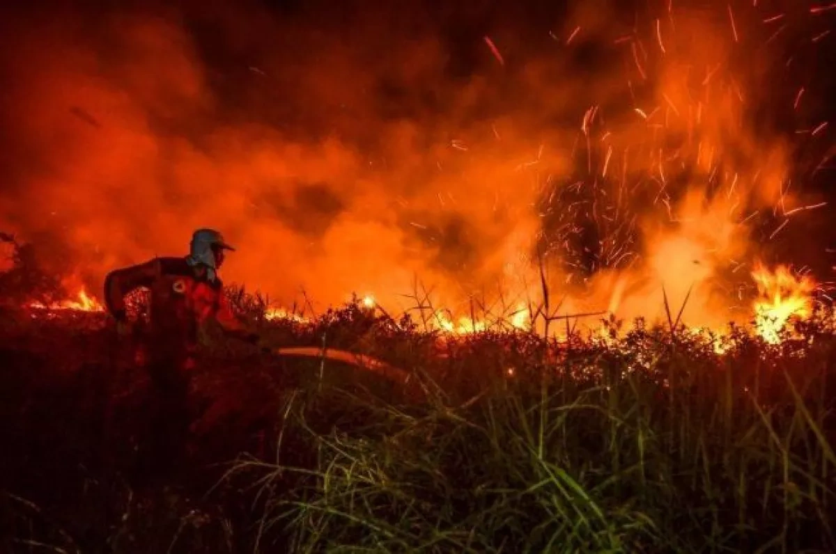 Indonesia’s wildfire emissions surge to world’s highest