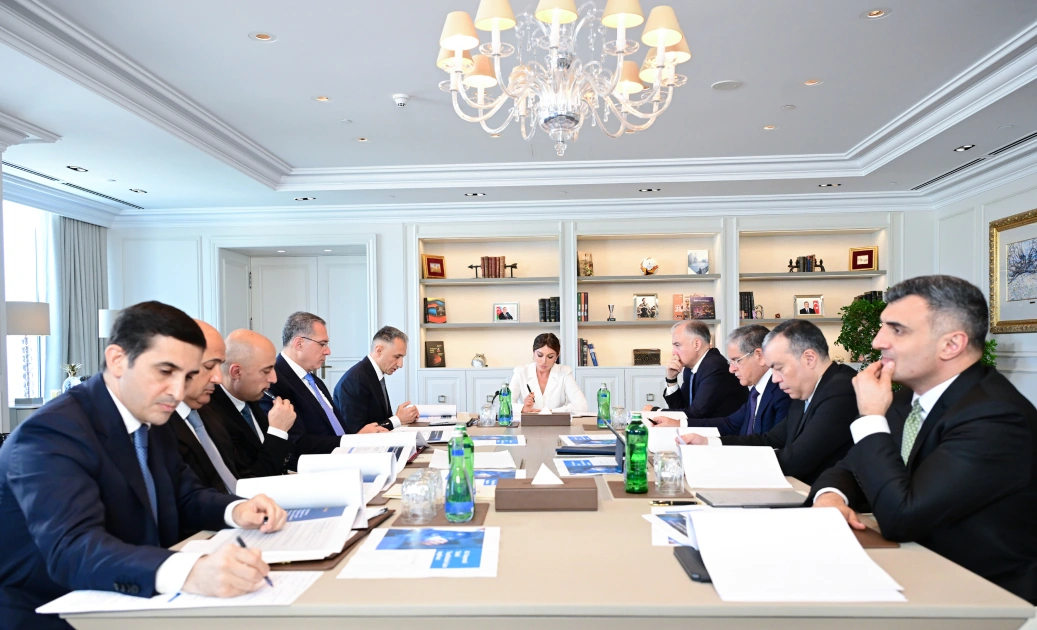 First Vice President Mehriban Aliyeva chairs first meeting of Council on Digital Development (PHOTO)