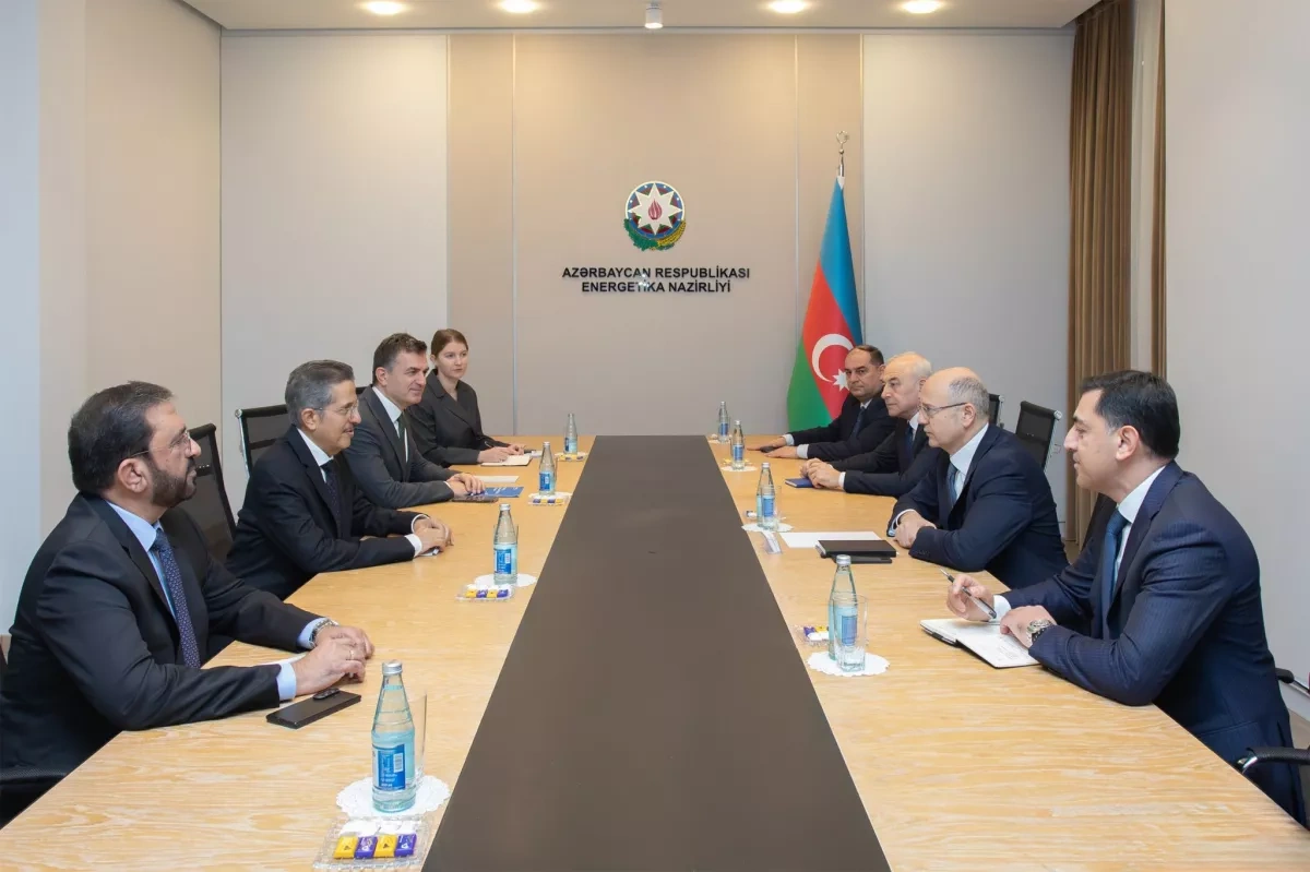 Azerbaijan, ACWA Power discuss expanding renewable energy cooperation PHOTO