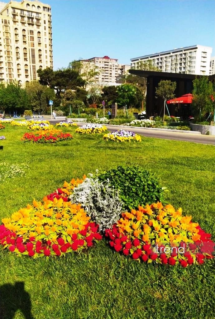 Azerbaijan's Baku blossoms with flowers ahead of WUF13 conference (PHOTO)