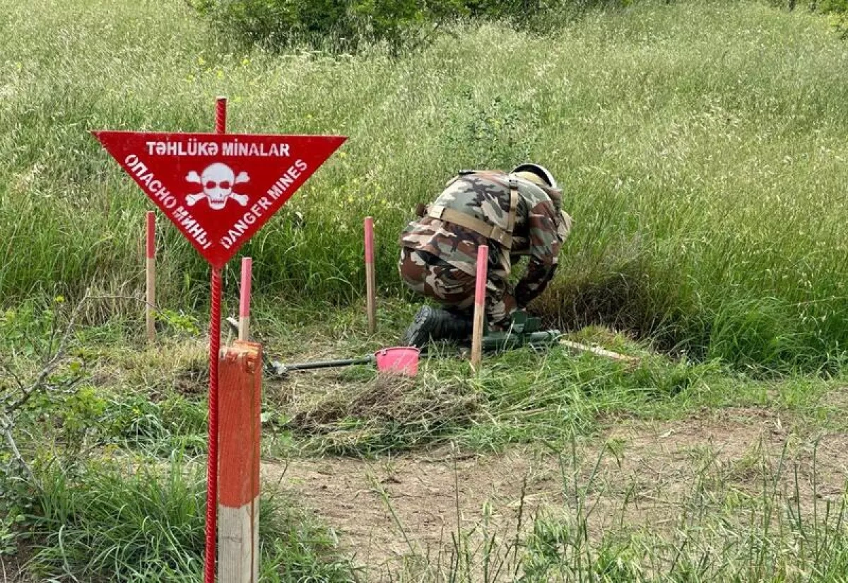 Azerbaijan clears over 1,500 hectares in one week of demining operations