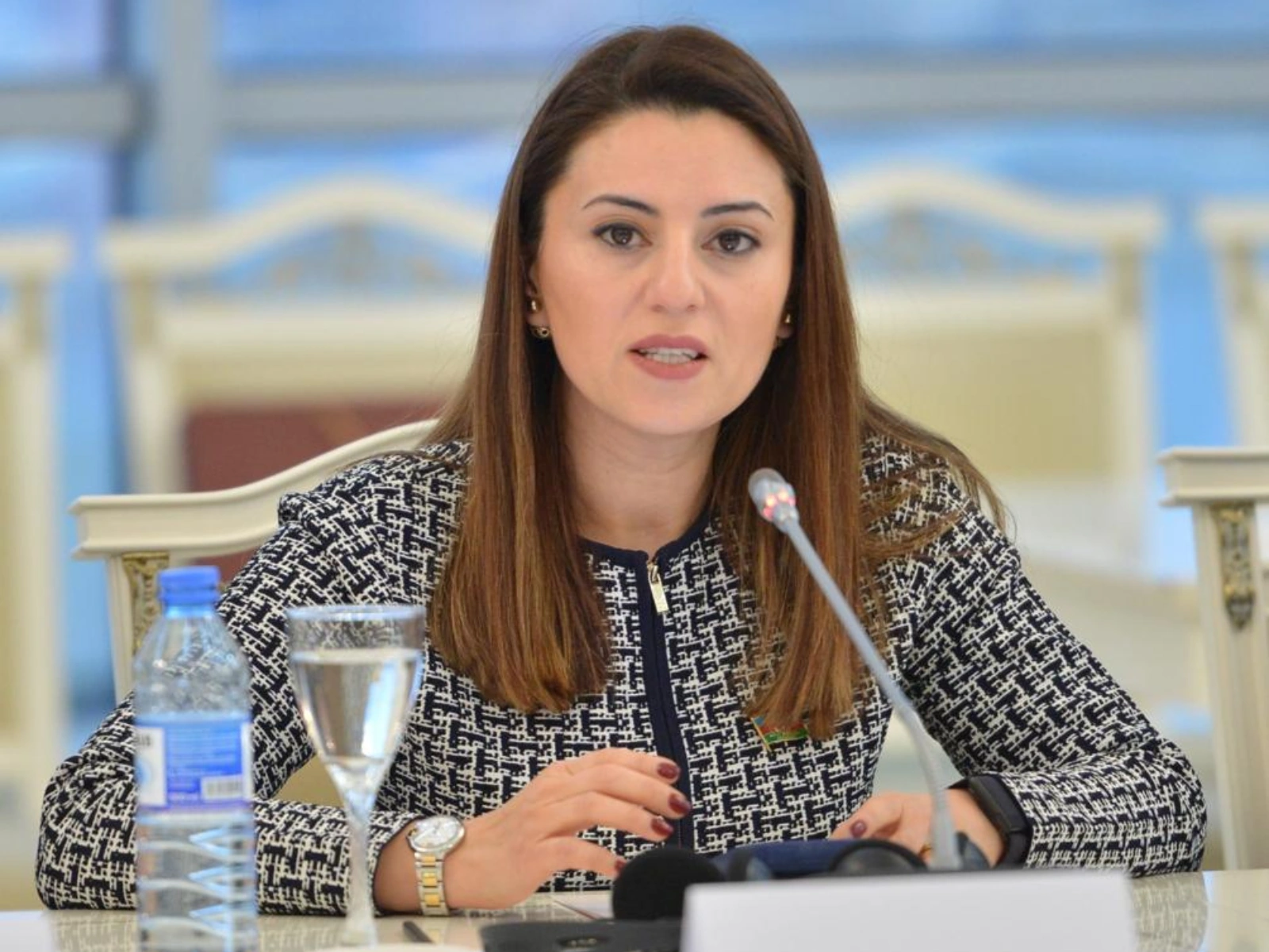 Azerbaijan's balanced foreign policy brings stability and co-op amid regional crises - commentary