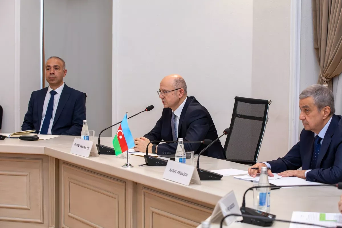 Azerbaijan, Iran review energy cooperation, joint projects