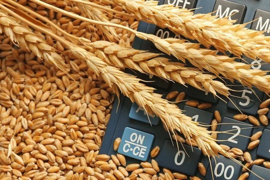 Kazakhstan set to launch major grain processing projects by 2028