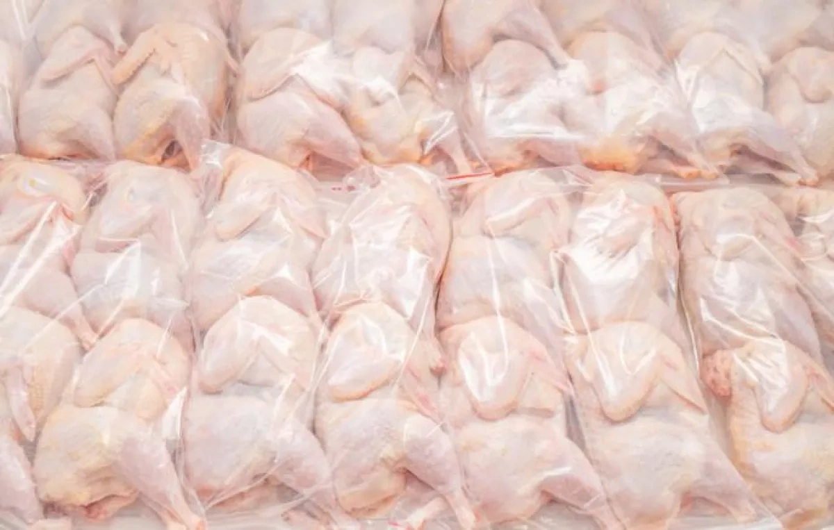 Russia imposes temporary curbs on EU poultry transit