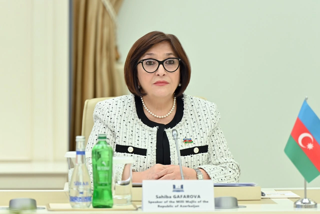 Azerbaijan, OIC discuss ways to expand cooperation (PHOTO)