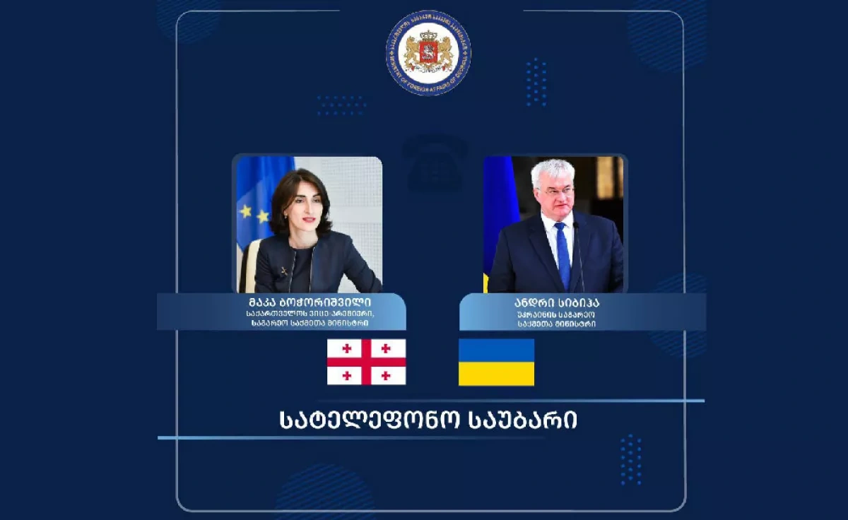 Ukraine – Georgia: Has pragmatism prevailed over emotions? Article by Vladimir Tskhvediani