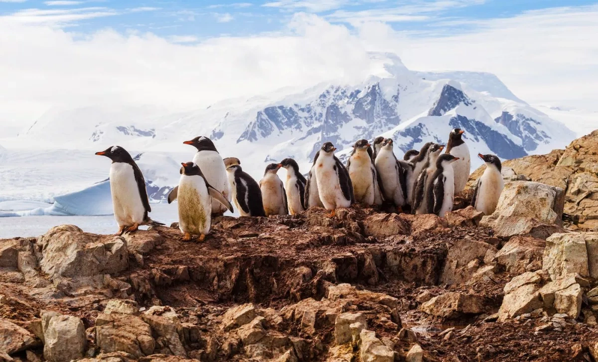 Antarctica at brink of irreversible climate change