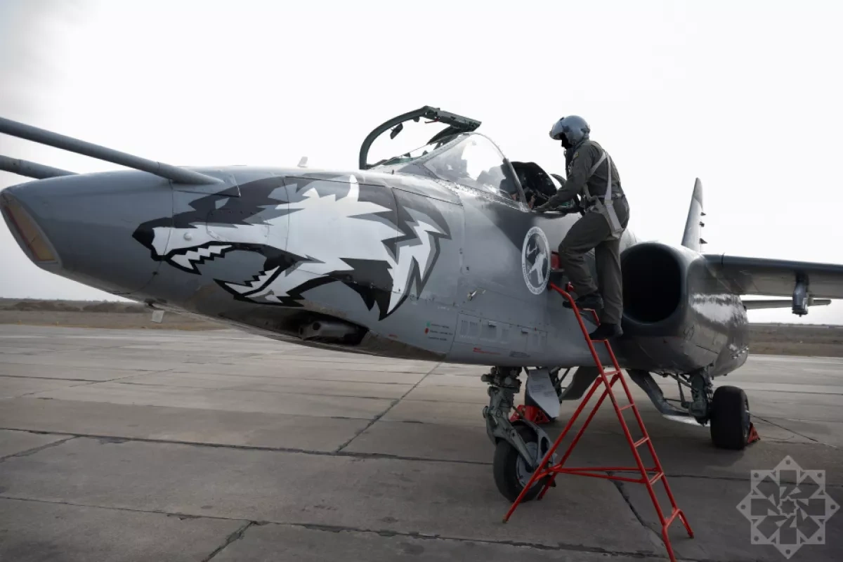 Azerbaijan marks Air Force Day Photo