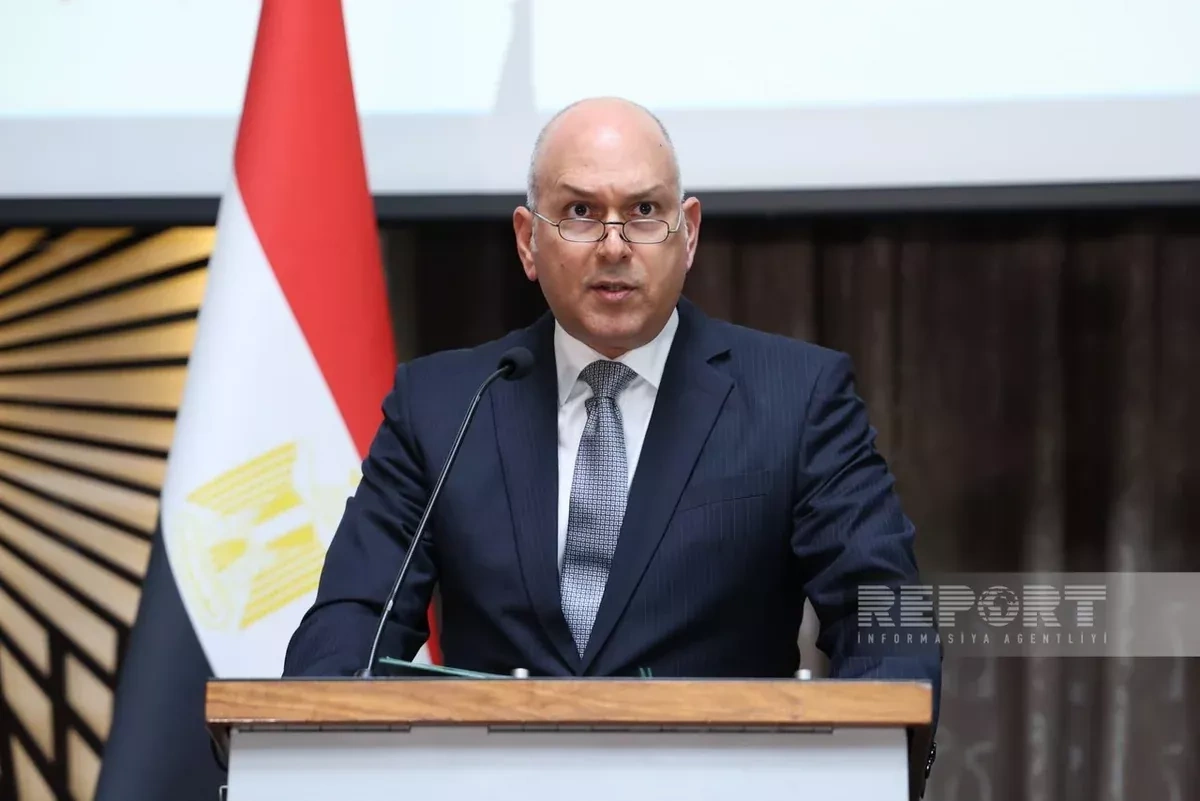 Egypt, Azerbaijan consider launching regular direct flights, envoy says