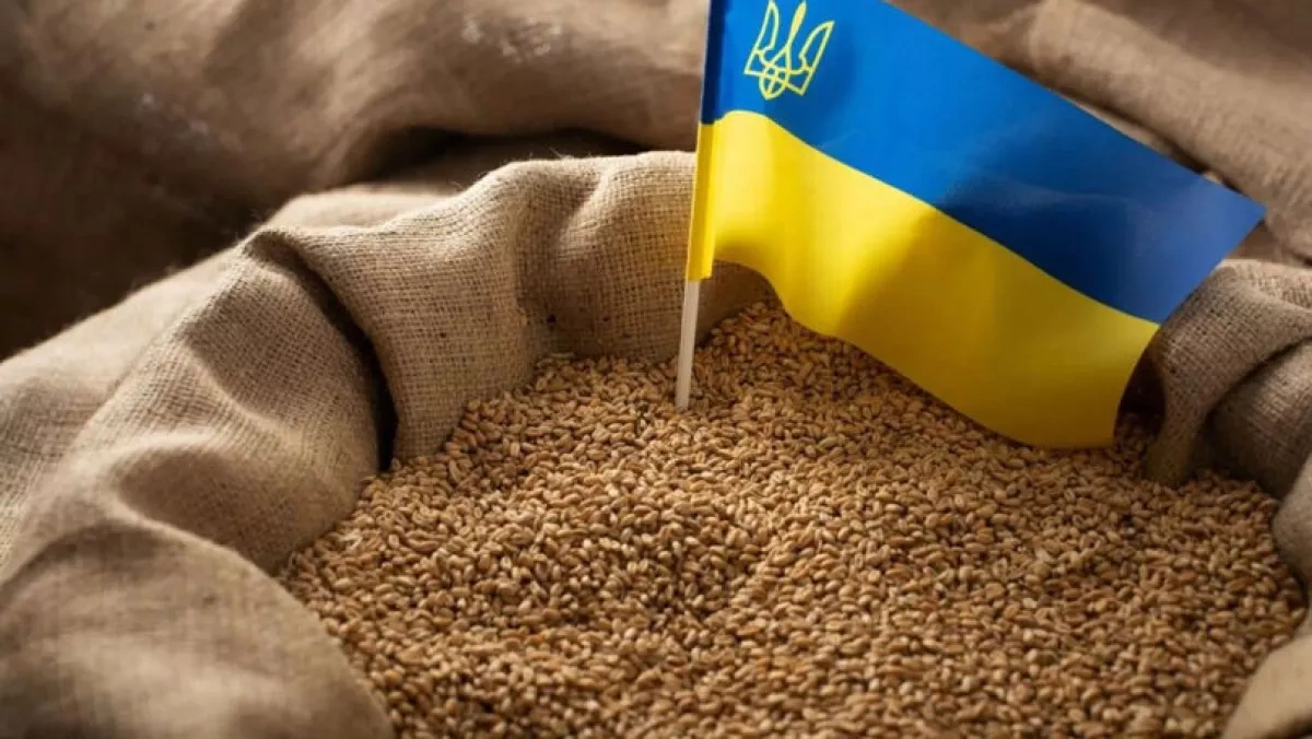 Israel says Ukraine’s legal request over grain ship lacked evidence
