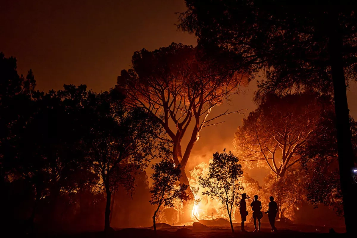 Media: EU struggles against expanding wildfires as crisis exposes response gaps