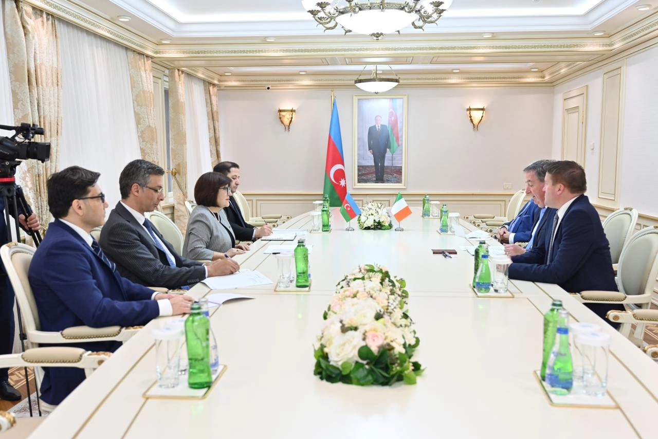 Speaker of Azerbaijani Parliament meets Irish parliamentary delegation (PHOTO)