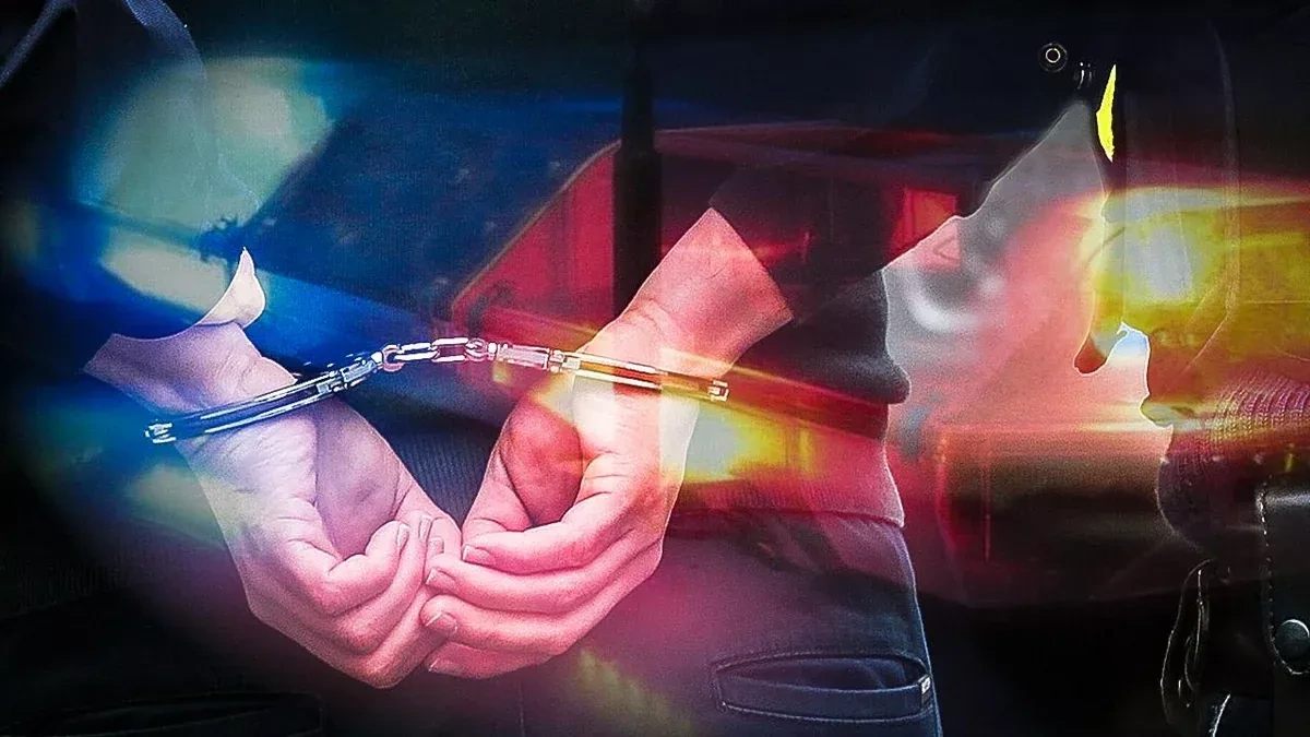 Mass arrests in Türkiye target ISIS network across 24 provinces