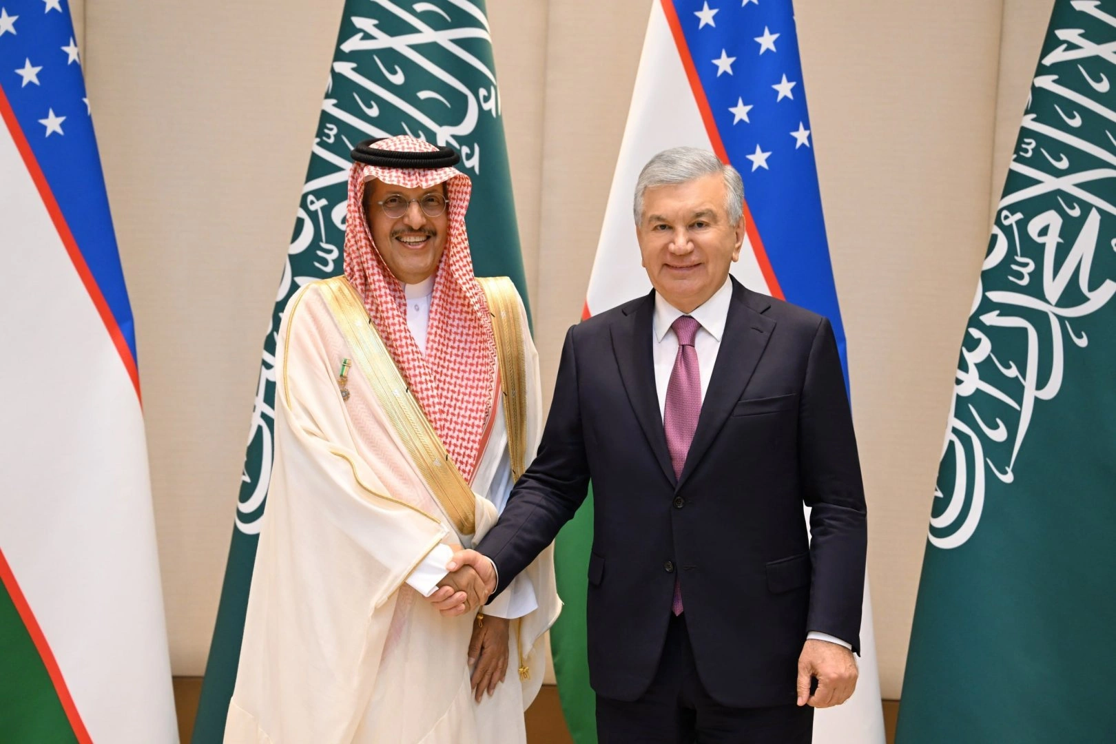 Mirziyoyev, ACWA Power chief discuss speeding up energy projects