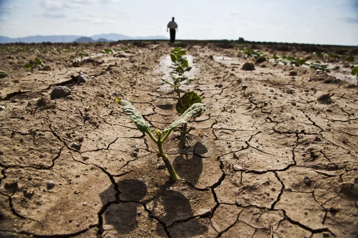 Czech Republic faces critical drought as rivers, reservoirs reach historic lows