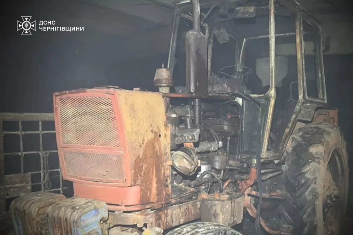 Russian strikes on Kharkiv, Chernihiv regions: kill livestock, damage community centre Photo