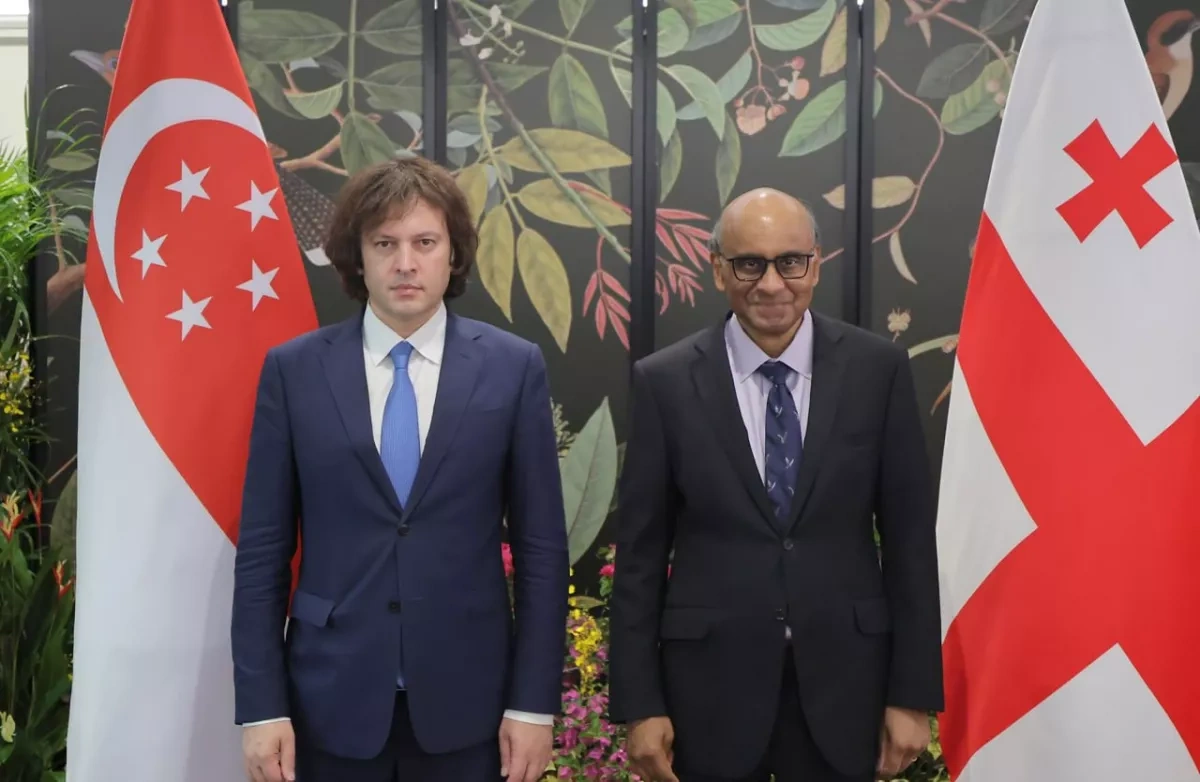 Georgia, Singapore discuss next steps to expand bilateral cooperation