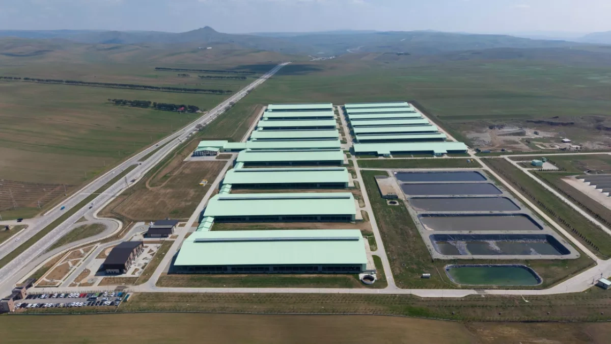 Azerbaijani president attends opening of “Shirvan Agro” livestock complex in Shamakhi PHOTO