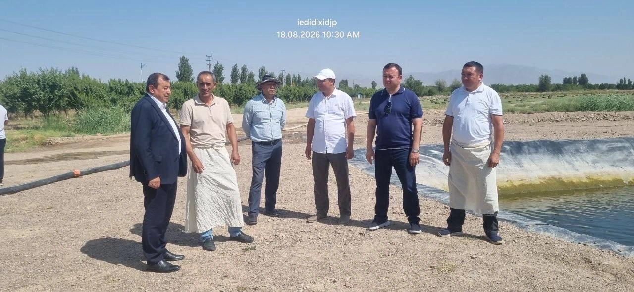 Uzbekistan, Tajikistan expand scientific cooperation in cotton farming