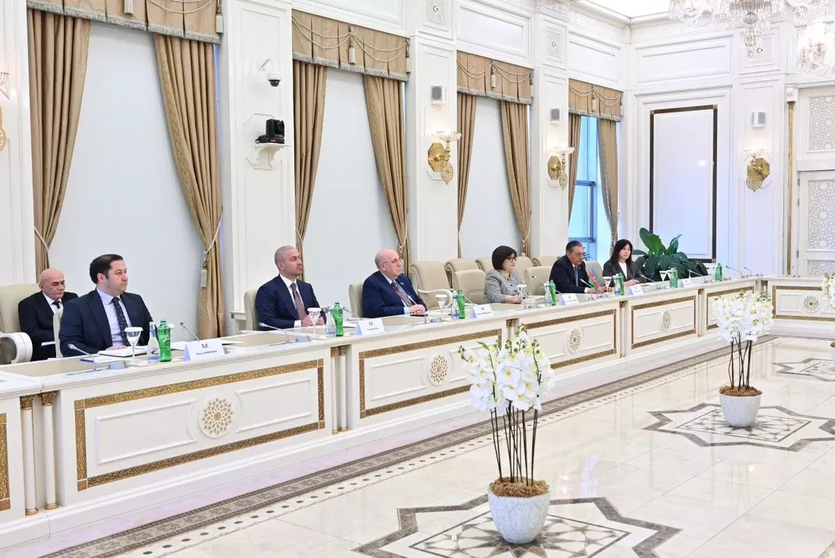 Azerbaijani parliament speaker backs expanded dialogue with Türkiye, Northern Cyprus PHOTO