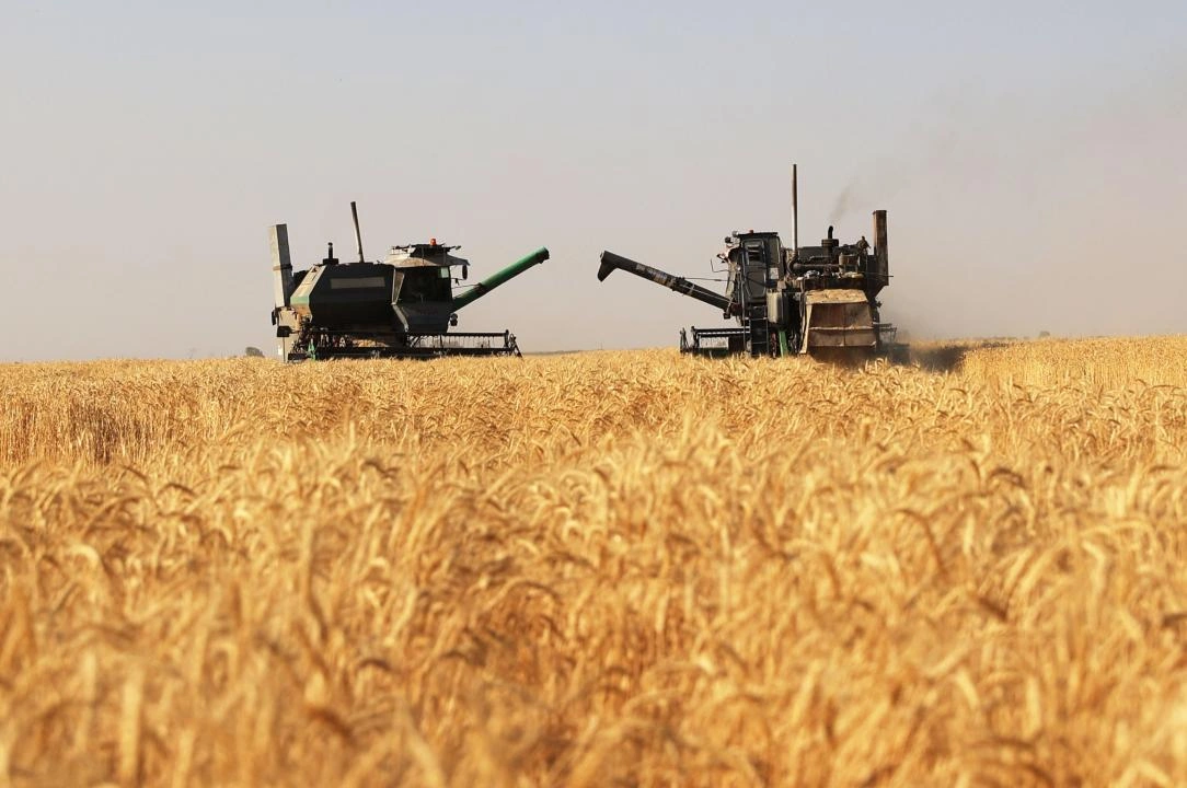 Kazakhstan announces plans for agro-industrial projects in Almaty region