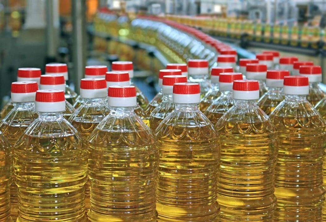 Türkiye’s company eyes vegetable oil extraction plant project in northern Kazakhstan