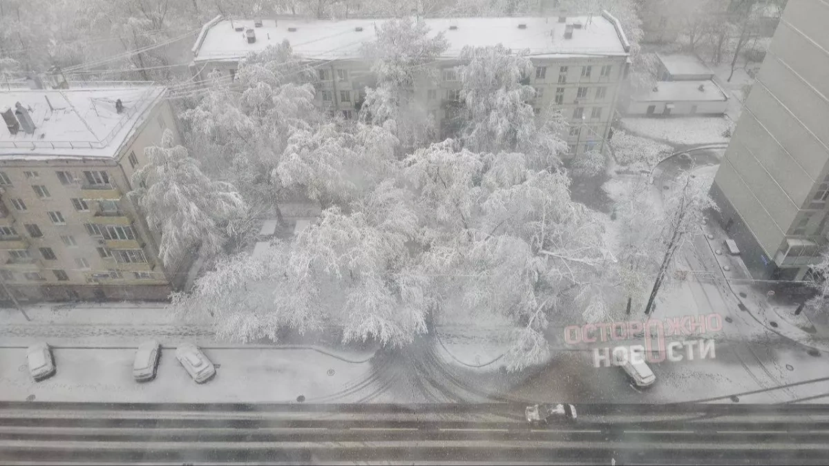 Moscow blanketed in snow amid sudden April weather shift PHOTO / VIDEO