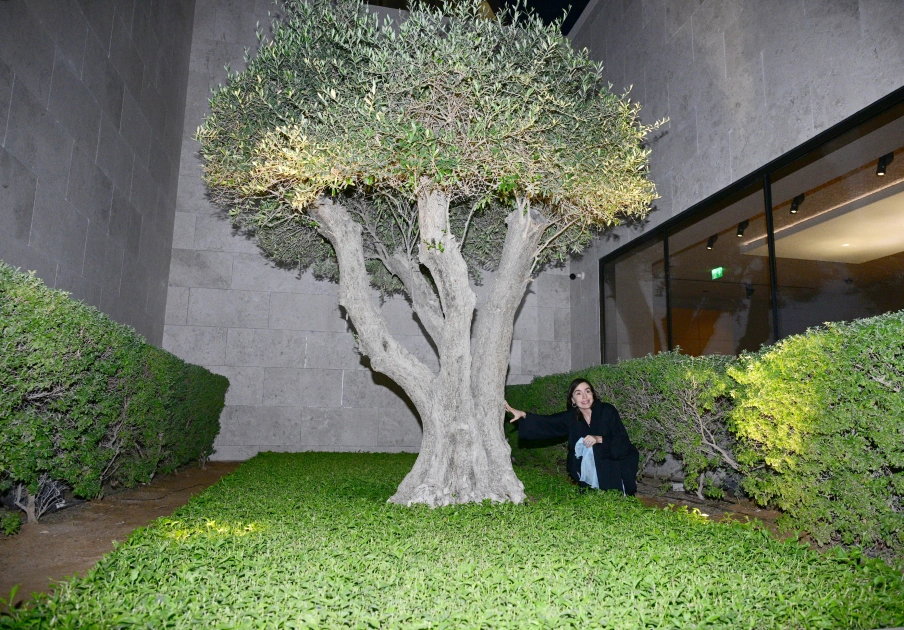 Heydar Aliyev Foundation VP Leyla Aliyeva visits Louvre Abu Dhabi Museum and Abrahamic Family House (PHOTO)