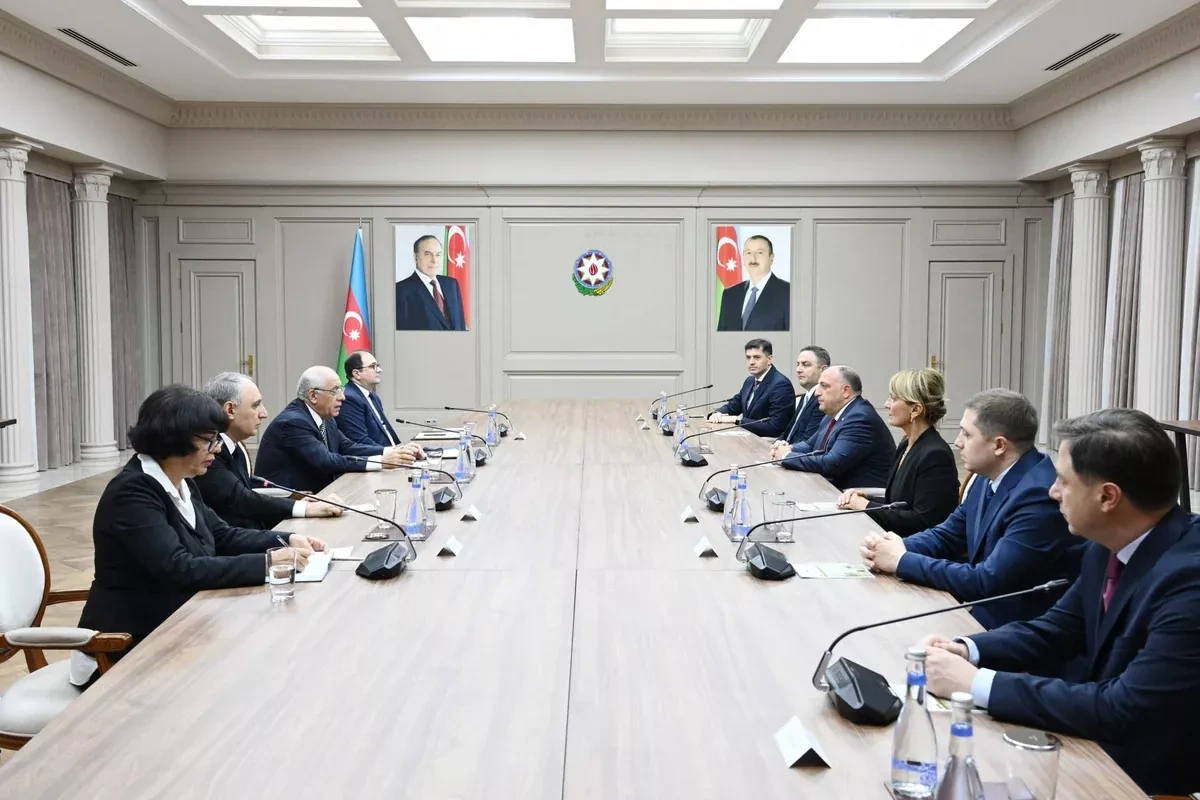 Azerbaijan, Georgia discuss combating cross-border crime PHOTO