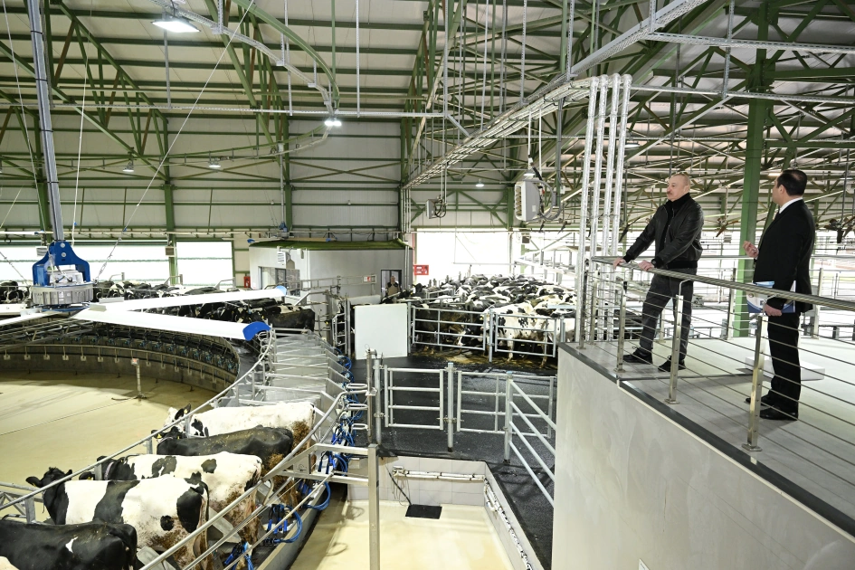 President Ilham Aliyev attends opening of Shirvan Agro livestock complex in Shamakhi (PHOTO)