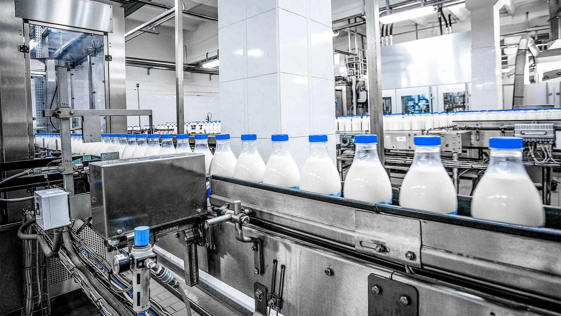 Turkmenistan opens 50,000-ton milk processing plant in Mary