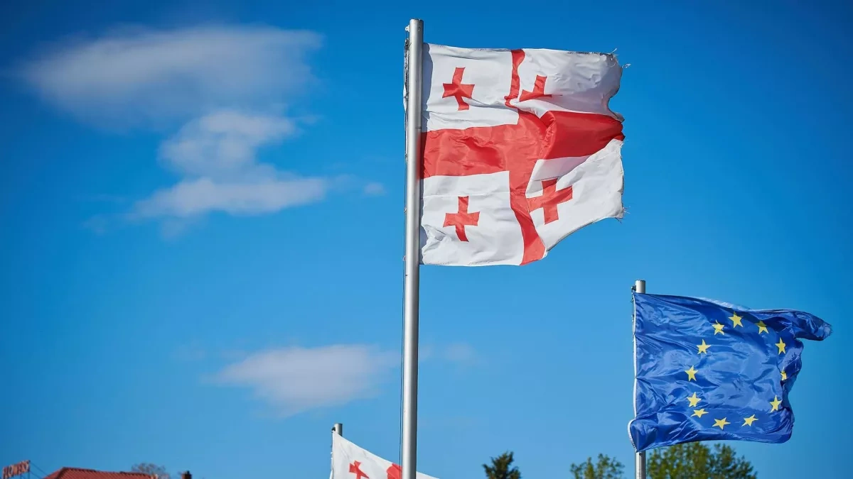 Georgian MP urges EU envoy to respect host country