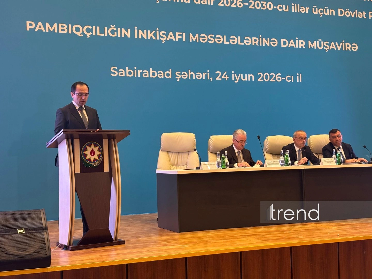 Azerbaijan reveals crucial role of cotton farming in its economy