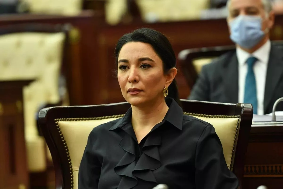Azerbaijani ombudsman condemns Iran’s drone attack on Nakhchivan civilians