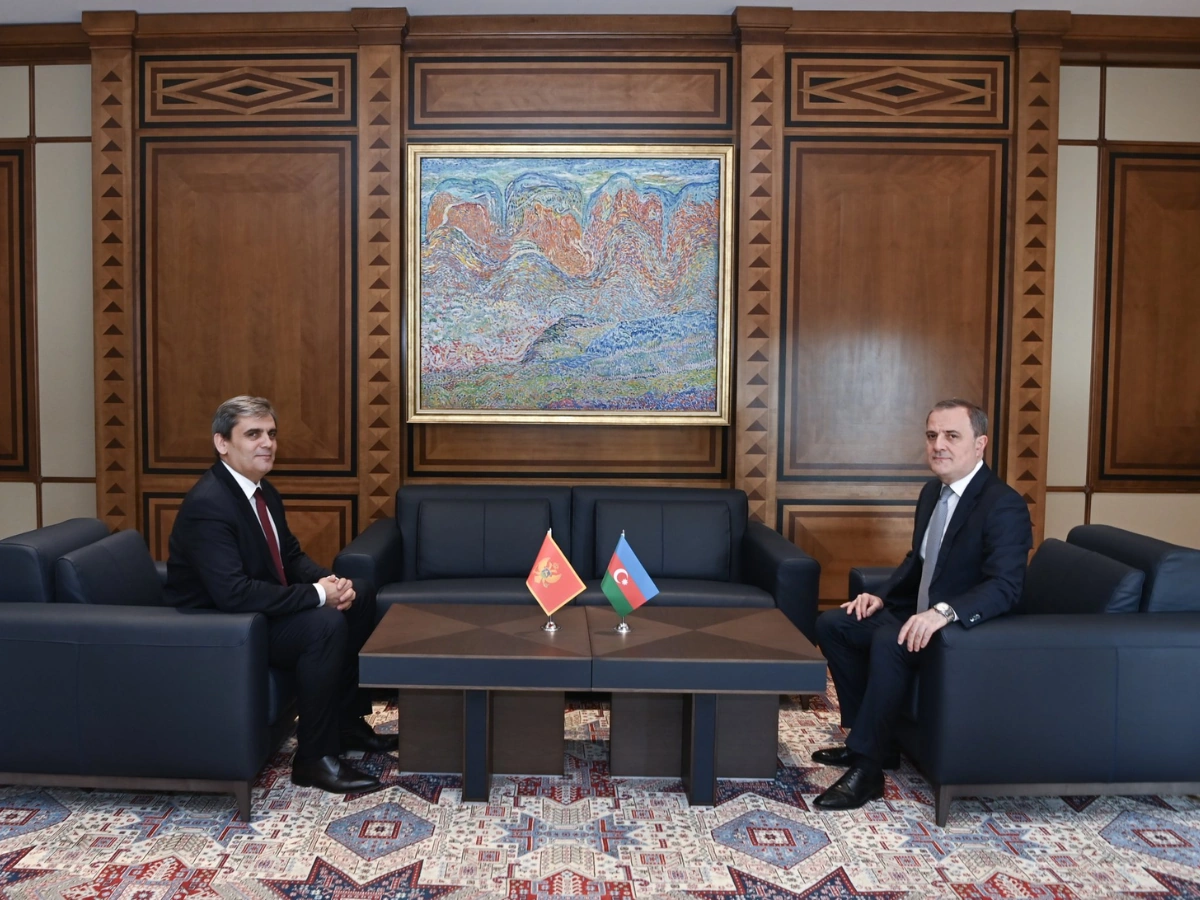Azerbaijani, Montenegrin foreign ministers holding meeting