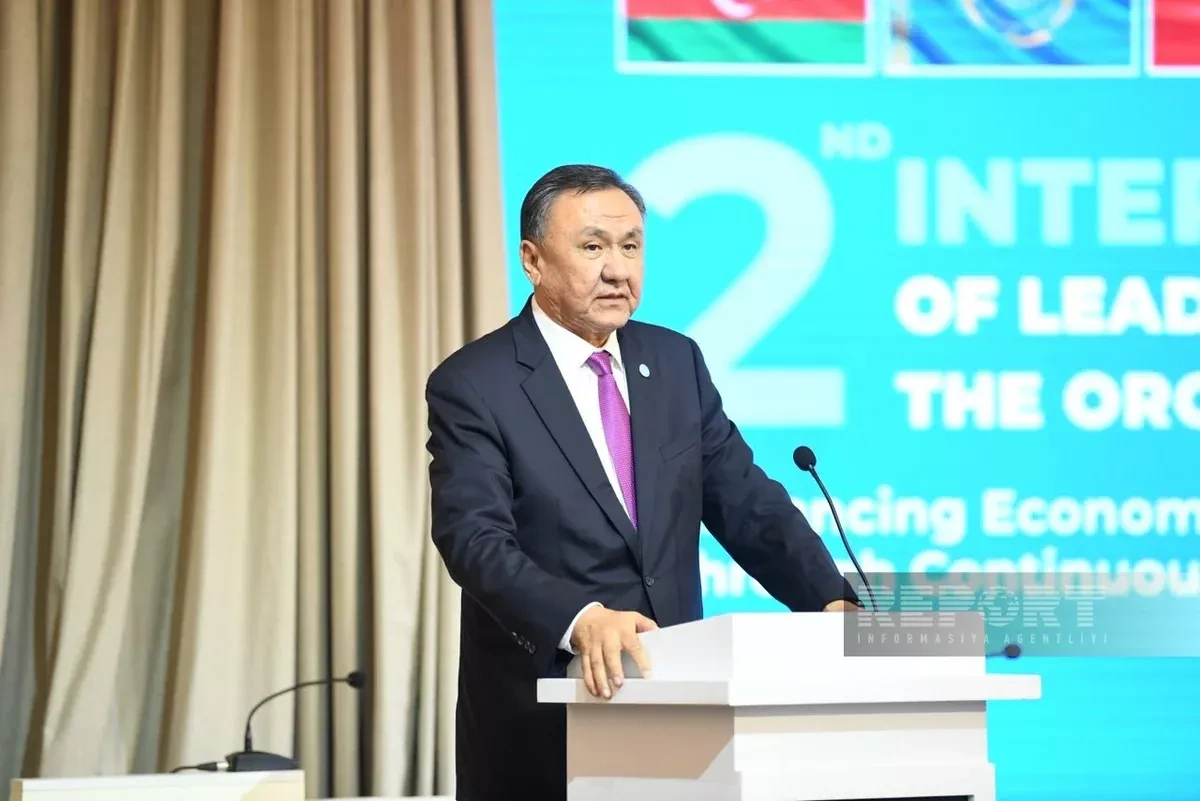 Turkic states push to make Middle Corridor faster, cheaper – OTS chief