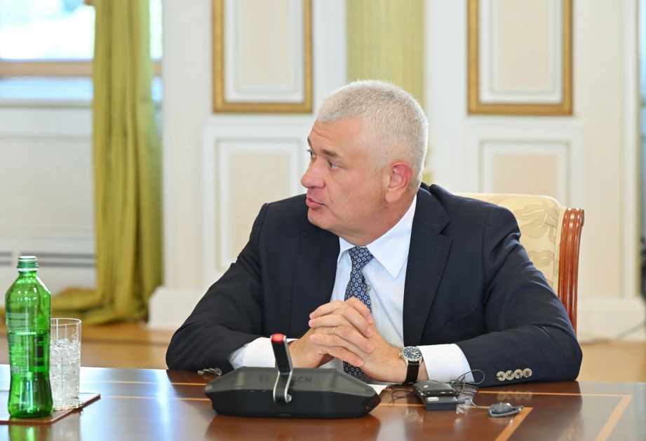 President Ilham Aliyev receives heads of security bodies of OTS member states (PHOTO)