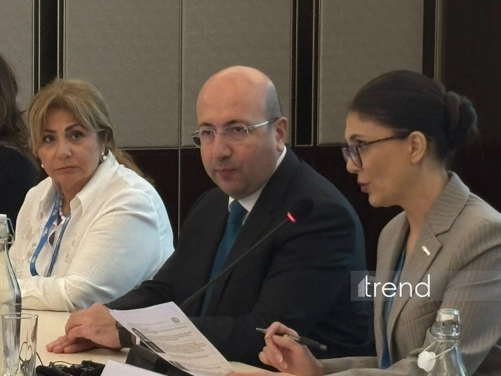 Azerbaijan official calls for local solutions to deliver climate goals