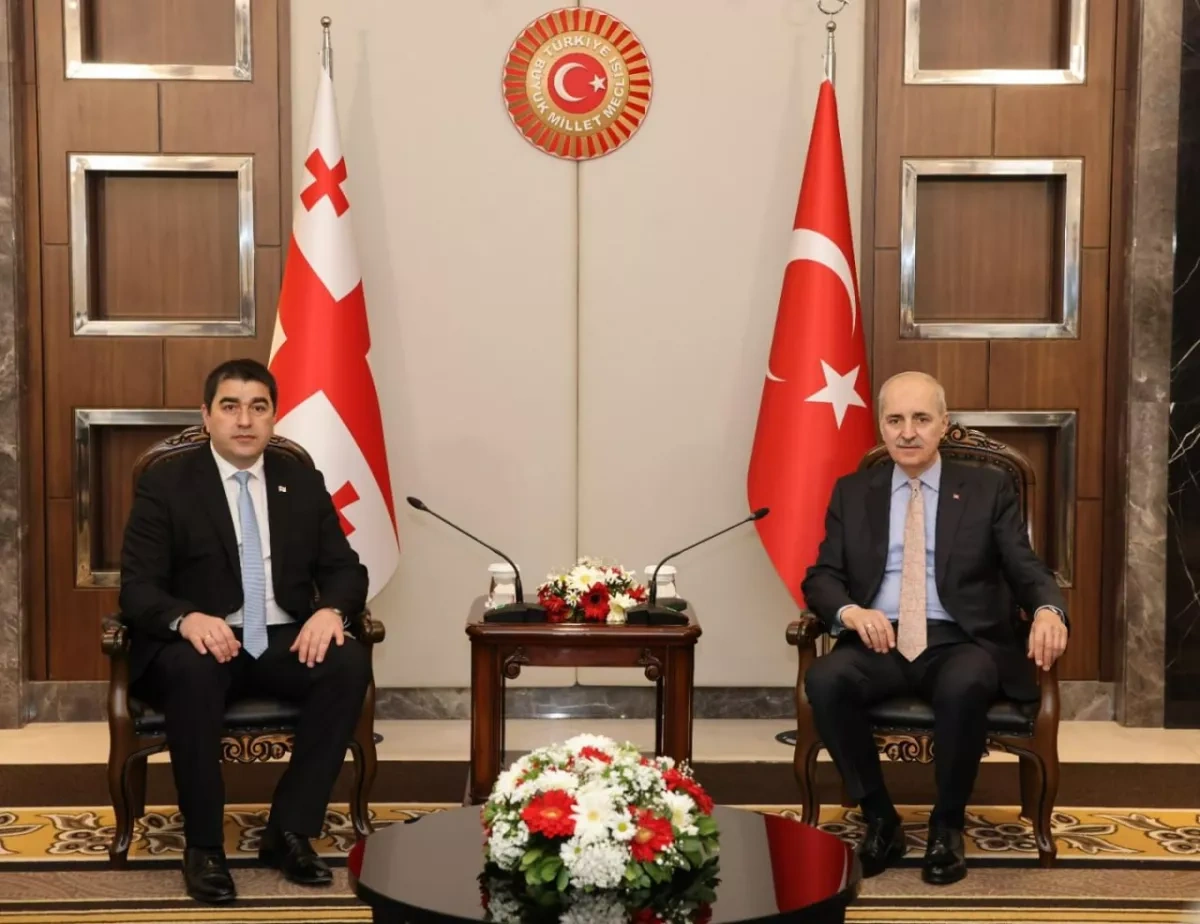 Speaker: Georgia to host trilateral parliamentary meeting with Türkiye, Azerbaijan