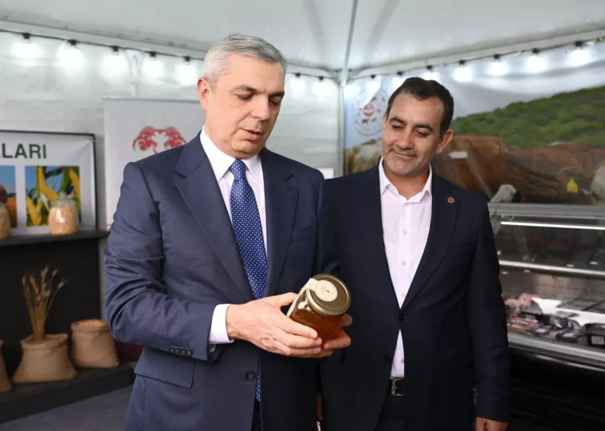 Azerbaijani officials inspect reconstruction, agro projects in Aghdara, Khojaly PHOTO