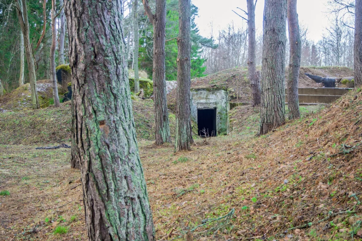 Estonia starts building concrete bunkers along Russian border