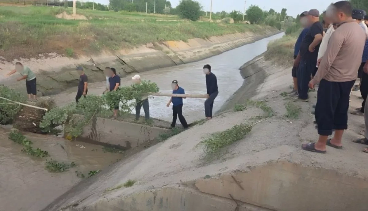 Four children perish in deadly electric moped accident in Uzbekistan