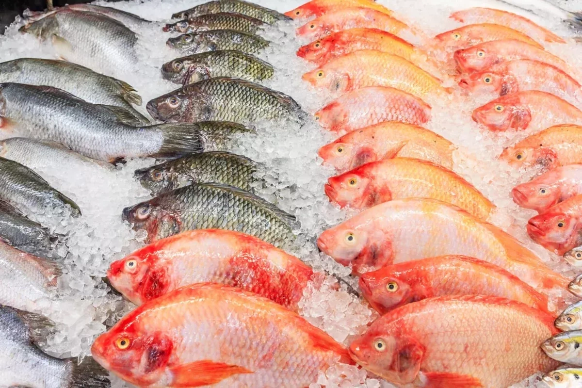 Georgia's frozen fish imports from Azerbaijan increase ninefold