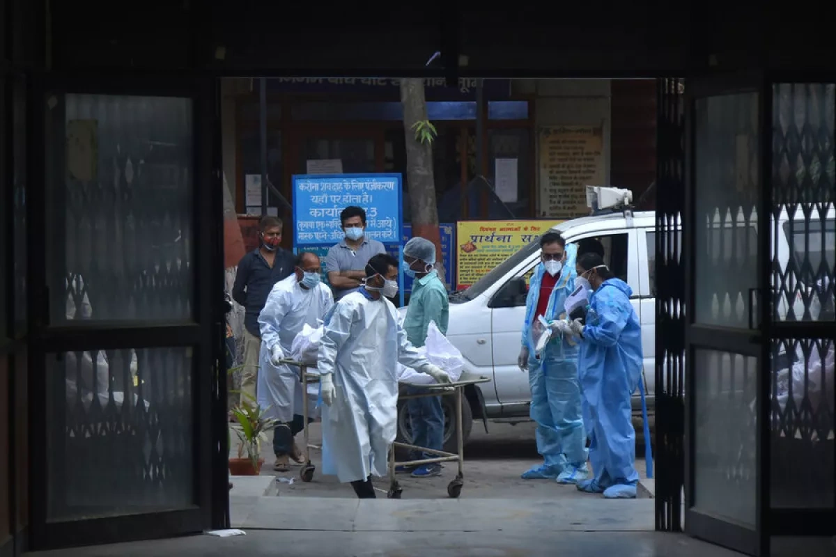 Russia's health watchdog rules out Nipah virus threat in country