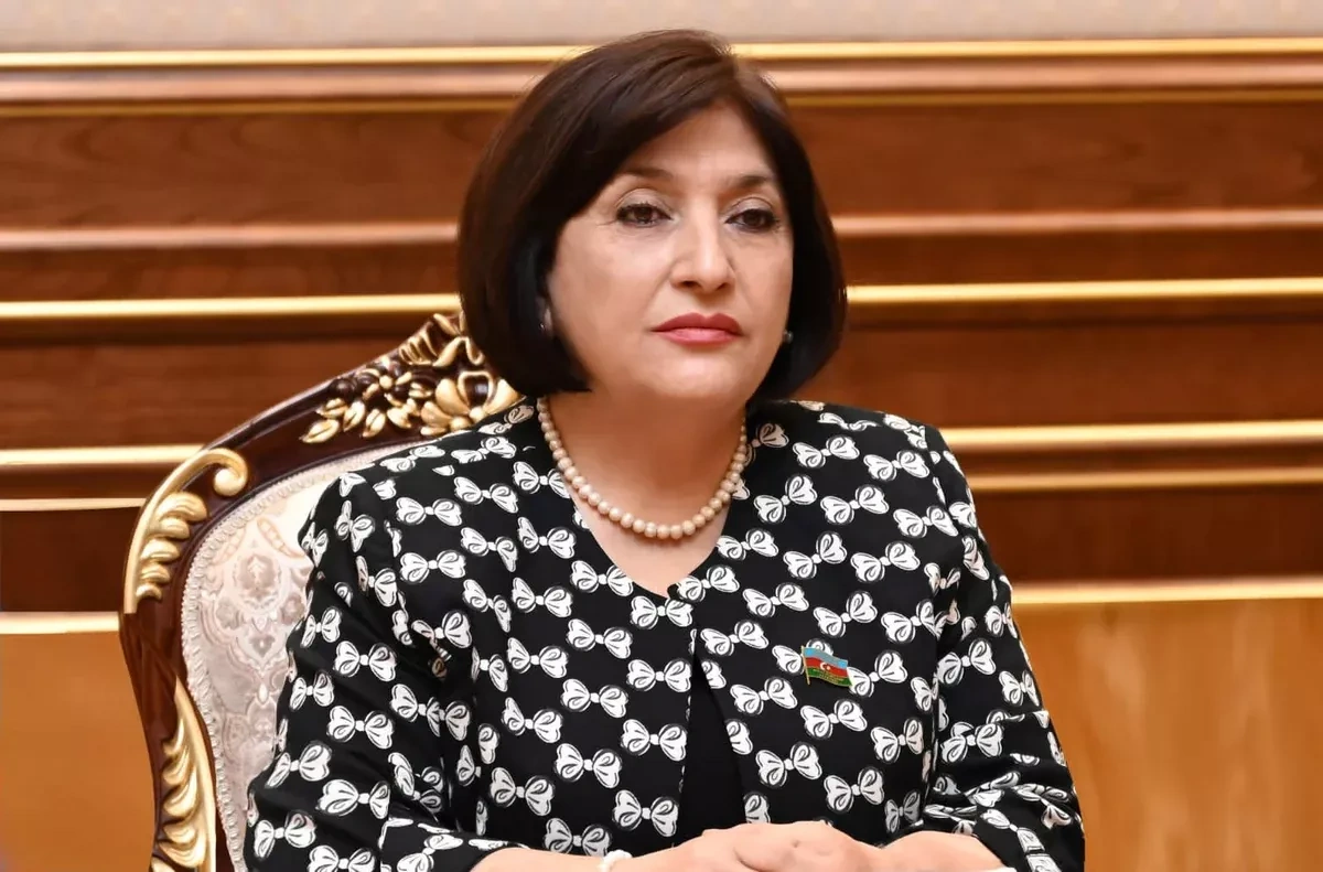 Azerbaijani speaker says peace must be based on international law