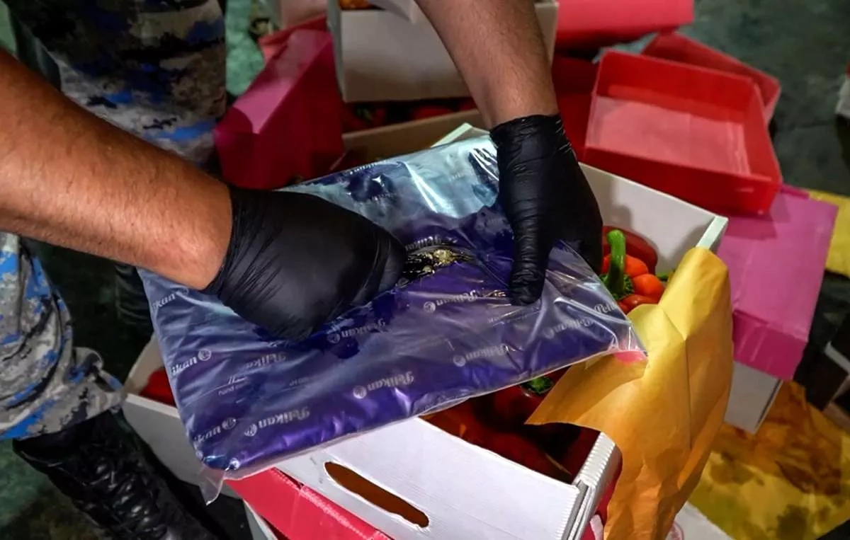 Azerbaijan Customs seize 25kg marijuana shipment bound for Russia PHOTO