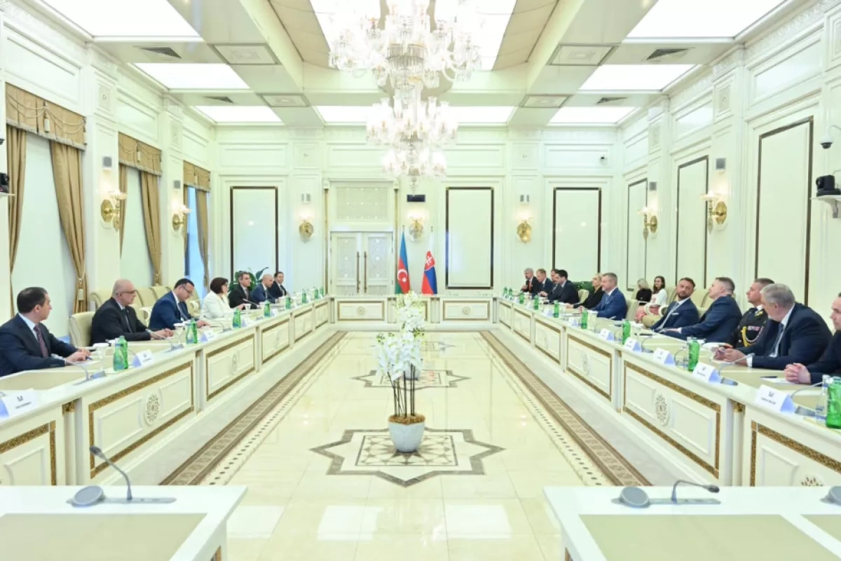 Azerbaijan, Slovakia highlight stronger parliamentary cooperation PHOTO